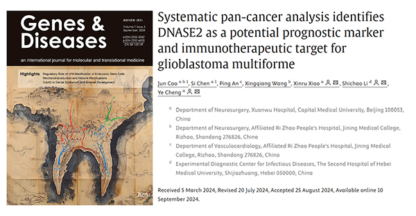 成果发表｜肖新如教授团队：基于系统性泛癌分析发现DNASE2为胶质母细胞瘤免疫治疗新靶点 发表在Genes & Diseases